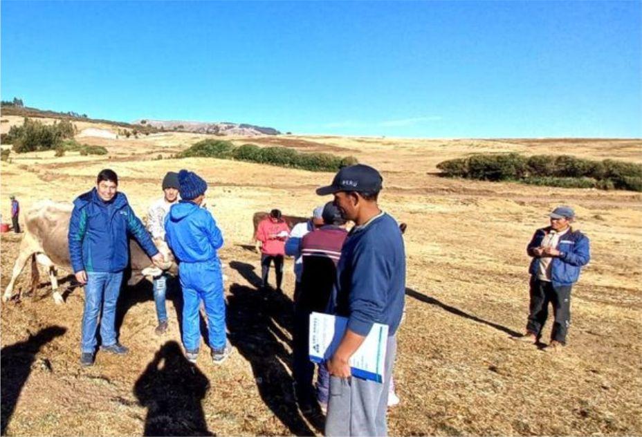 Oficina Pampa Cangallo. La Cooperativa Los Andes, en colaboración con el Instituto Superior Tecnológico Público San Juan de Vilcas Huamán.