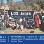 Crianza de Cuyes y capacitación en Servicios y Beneficios Cooperativos en el distrito de Pomacanchi, provincia de Acomayo – Cusco.