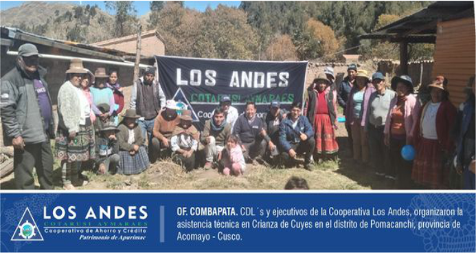Crianza de Cuyes y capacitación en Servicios y Beneficios Cooperativos en el distrito de Pomacanchi, provincia de Acomayo – Cusco.