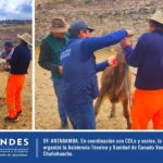 Como parte de nuestros servicios complementarios, la Cooperativa Los Andes promueve actividades de fortalecimiento de capacidades y de salud