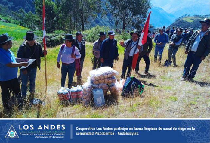La Cooperativa de Ahorro y Crédito Los Andes participó en faena limpieza de canal de riego en la comunidad Piscobamba en Andahuaylas.