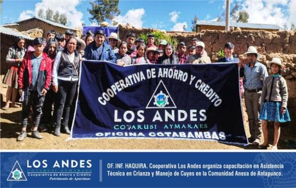 En coordinación con miembros CDL y especialistas en crianza de animales menores, la Oficina Informativa de Haquira realizó la Asistencia Técnica en Crianza de Cuyes.