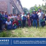 En coordinación con CDLs y socios, la Oficina de Uripa de la Cooperativa Los Andes organizó la capacitación en Manejo Agronómico del Cultivo del Palto.