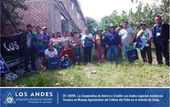 En coordinación con CDLs y socios, la Oficina de Uripa de la Cooperativa Los Andes organizó la capacitación en Manejo Agronómico del Cultivo del Palto.