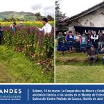 Agencia Andahuaylas. Realizó la asistencia técnica a los socios en el manejo de enfermedades del cultivo de Quinua del Centro Poblado de Ccacce