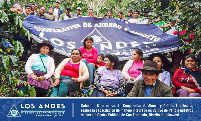 Agencia Huancarama. Realizó la capacitación de manejo integrado en cultivo de palto a nuestros socios del Centro Poblado de San Fernando