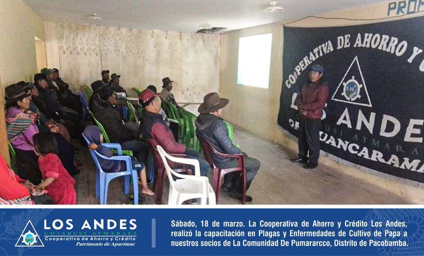 Agencia Huancarama. Realizó la capacitación en Plagas y Enfermedades de Cultivo de Papa a nuestros socios de La Comunidad De Pumararcco