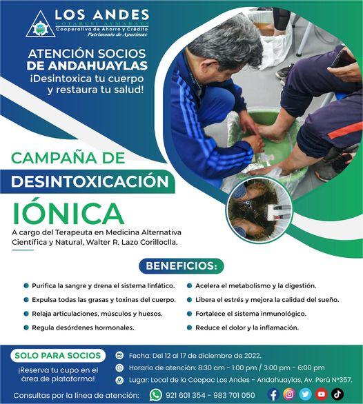 GRAN CAMPAÑA DE DESINTOXICACIÓN IÓNICA