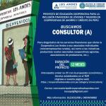 BUSCAMOS CONSULTOR