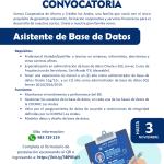 PERFIL ASISTENTE DE BASE DE DATOS